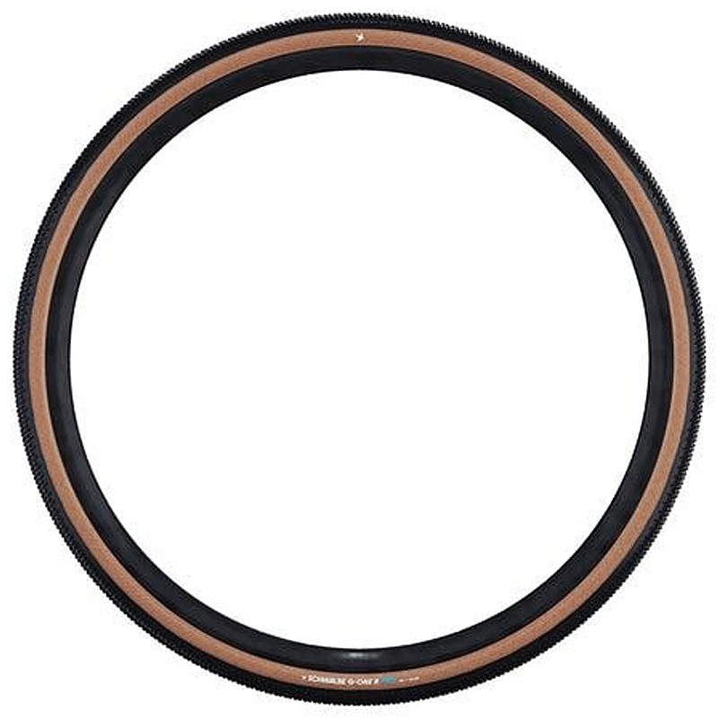 シュワルベ SCHWALBE G1 R PRO （シュワルベジーワンRプロ）700×40C ケブラービード SCHWALBE 送料無料 3