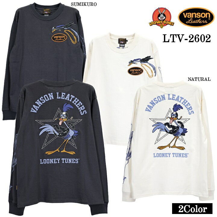 楽天市場】ワーナー tシャツの通販