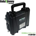【歳末Sale】BabyGenny ベビージェニー 蓄電池 防災 Libertypak〈送料無料〉〈あす楽対応〉【防災】