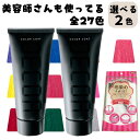 イリヤ カラーコート デコレ マニキュア 160g 2本セット ヘアマニキュア カラーリング ヘアカラー ピンク アッシュ オレンジ グレージュ ブラウン ブル...