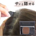 サロン専売品 白髪かくし ファンデーション アモロス ヘアファンデーション 黒彩 白髪隠し 根元 生え際 部分 隠し レディース もみあげ 白髪ぼかし 暈し しらが かくし 汗 栗 黒 部分染め 白髪染