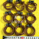 オリジナルメダカの産卵床【小型タイプ50個、大型タイプ50個】合計100個セット。●●※12:00までの注文で翌日お届け※●●