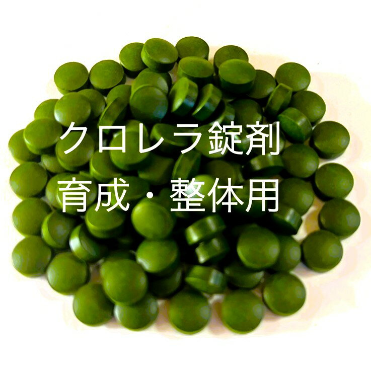 ●●クロレラ錠剤★育成・整体用★【50粒】●●※12:00までの注文で翌日お届け※●●