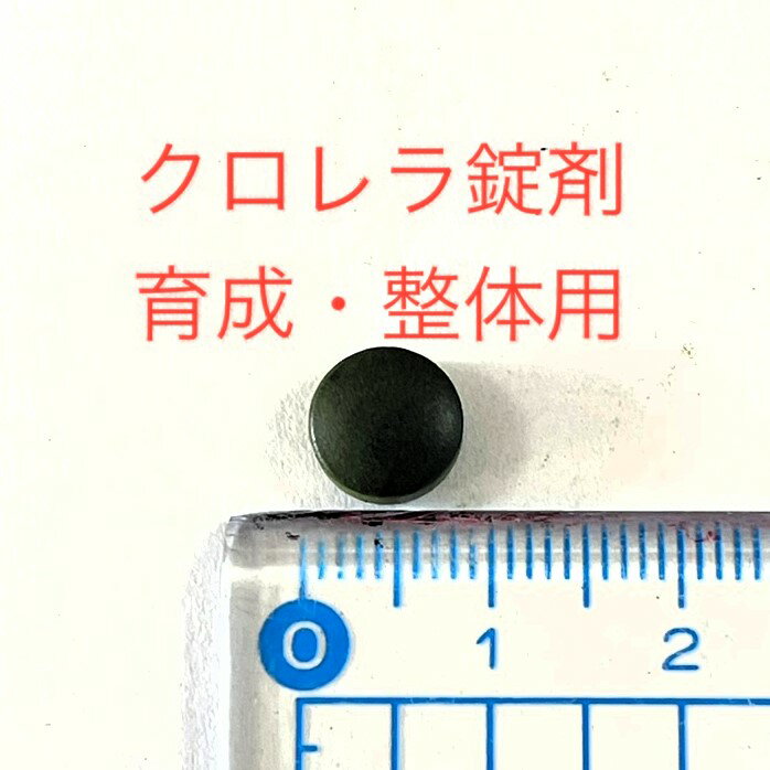 �������������ޡ������������ѡ���100γ�ۡ�����12:00�ޤǤ���ʸ���������Ϥ�������