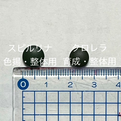 �������ԥ��ʡ����������ޡ����ȡ������������ѡ�2���ॻ�åȡ��ڳ�75γ��150γ���åȡۡ�����12:00�ޤǤ���ʸ���������Ϥ�������