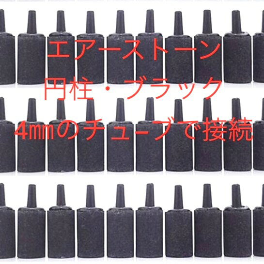 �������������ȡ�������졦�֥�å�����������������4mm�Υ��塼�֤���³����5�ĥ��åȡۡ�����12:00�ޤǤ���ʸ���������Ϥ�������