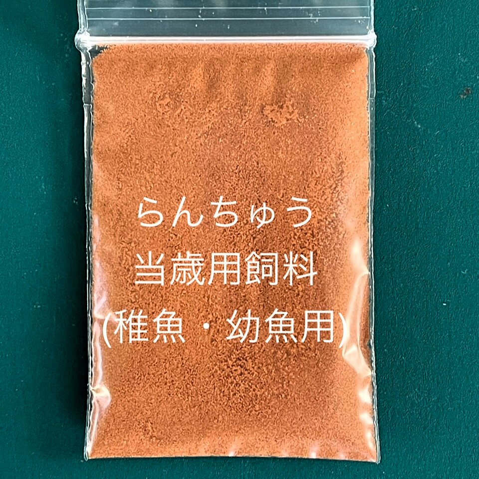 楽天市場】ウナギ(人工飼料|エサ):熱帯魚・アクアリウム 楽天市場】ウナギ(人工飼料|エサ):熱帯魚・アクアリウム