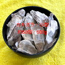◆小型固形◆飼育水のPH整用◆牡蠣殻(カキガラ)◆約3.0cm〜5.0cm【50個セット】●●※12:00までの注文で翌日お届け※●●