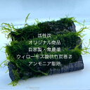 ★自家製ウィローモス★新規出品★★完全無農薬★自家製★水草★筒状竹炭★活性炭★アンモニア駆除用★【ウィローモス筒状竹炭巻き・5本セット】サイズ(約4cm×11c...