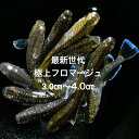 ●高級メダカ●2024年10月生まれ★最新世代★新系統★新品種★ブラウン系★極上★【フロマージュ】サイズ(3,0cm~4,0cm)・5匹セット。補償分1匹・合計6匹で発送致します。●●※12:00までの注文で翌日お届け※●●(4)