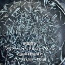 ★マリアージュロングフィン☆稚魚販売初出荷☆★2025年6月生まれ★最新世代★極上個体★【マリアージュロングフィン・稚魚】サイズ(1,5cm〜2,0cm)・50...