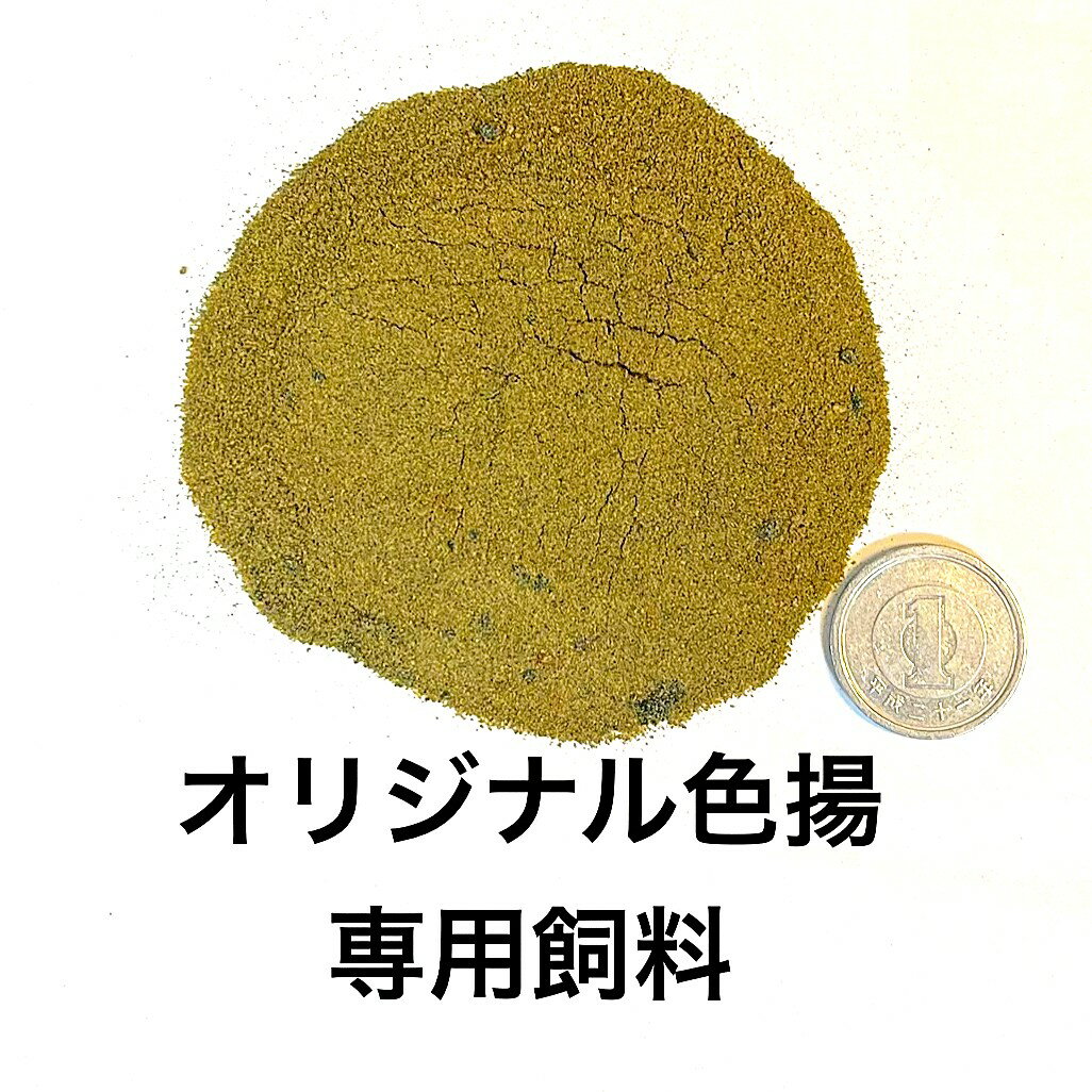 オリジナル色揚5種類混合専用飼料・添加物用【net:50g】●●※12:00までの注文で翌日お届け※●●