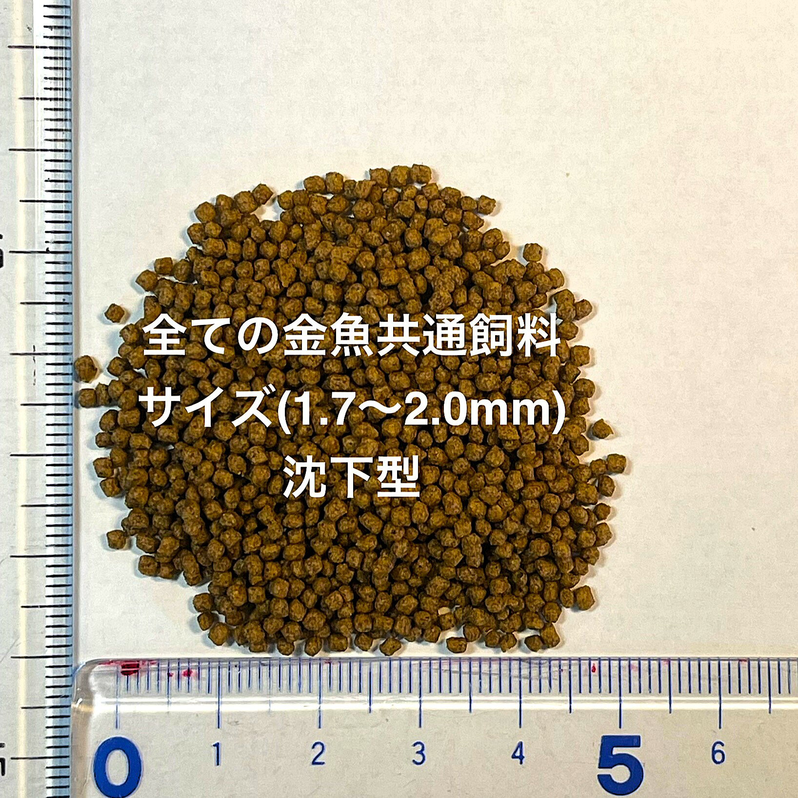 ����в١�����Ϥ����夦�����ӥץ���ʥ���С������е���������������ʪ�в١��ե󥿥�ϡ�4��������ͺ̵���̡��ڲ��������ꡧ5ɤ���åȡۥ�����(4.0cm��5.0cm) ������12:00�ޤǤ���ʸ���������Ϥ�������