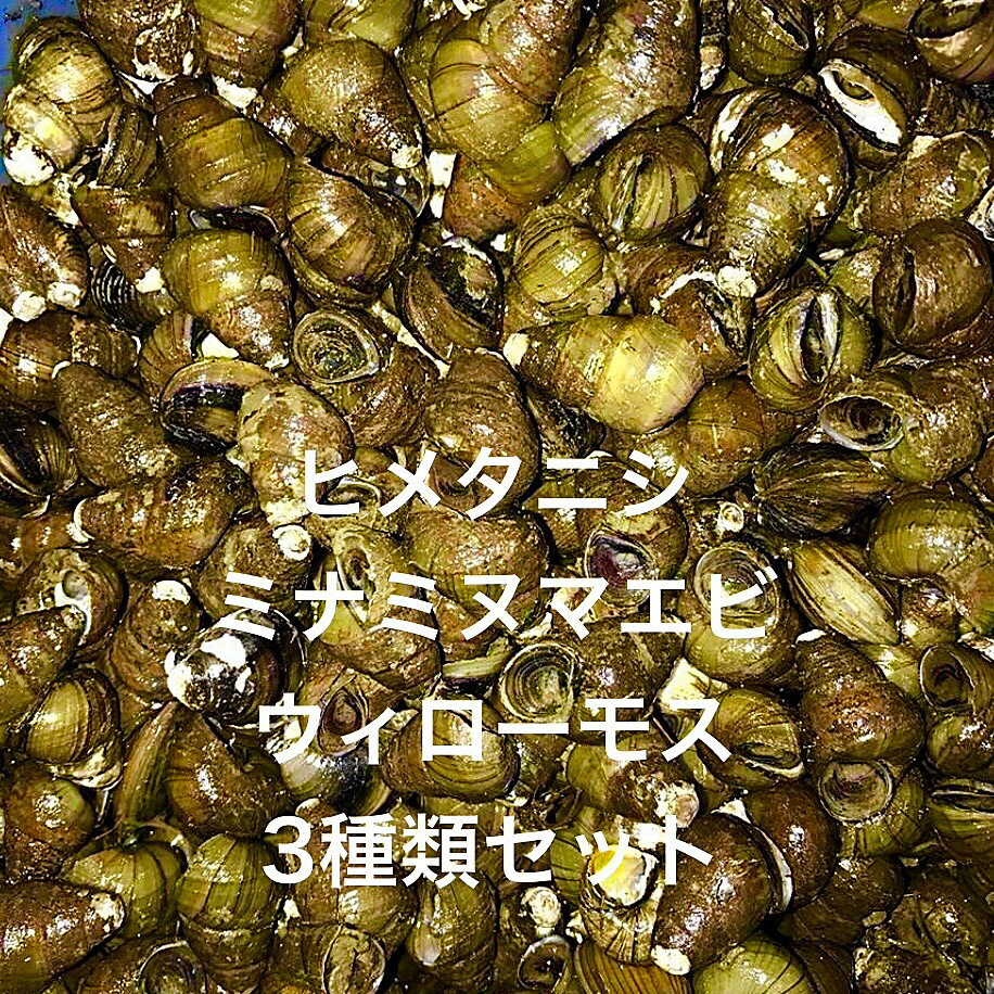 ★※3種類セット※★初出荷★ヒメタ...