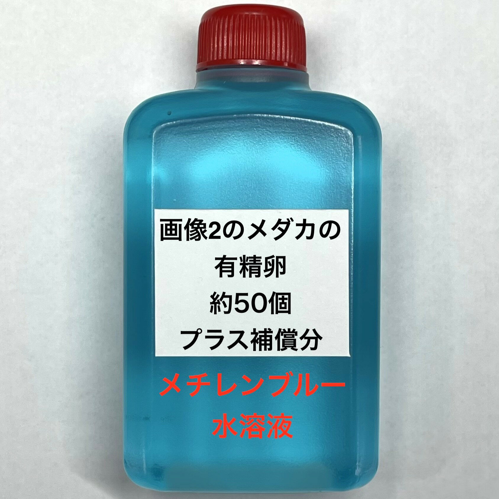 樂天商城 - H●※メダカの卵・有精卵初出荷※●メダカミックス★画像2のメダカの卵【有精卵：50個＋補償分】●※ご注文確定後3日前後での発送になります※●