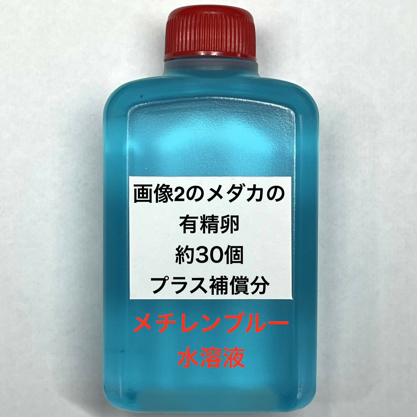 C●※メダカの卵・有精卵初出荷※●メダカミックス★画像2のメダカの卵【有精卵：30個＋補償分】●※ご注文確定後3日前後での発送になります※●