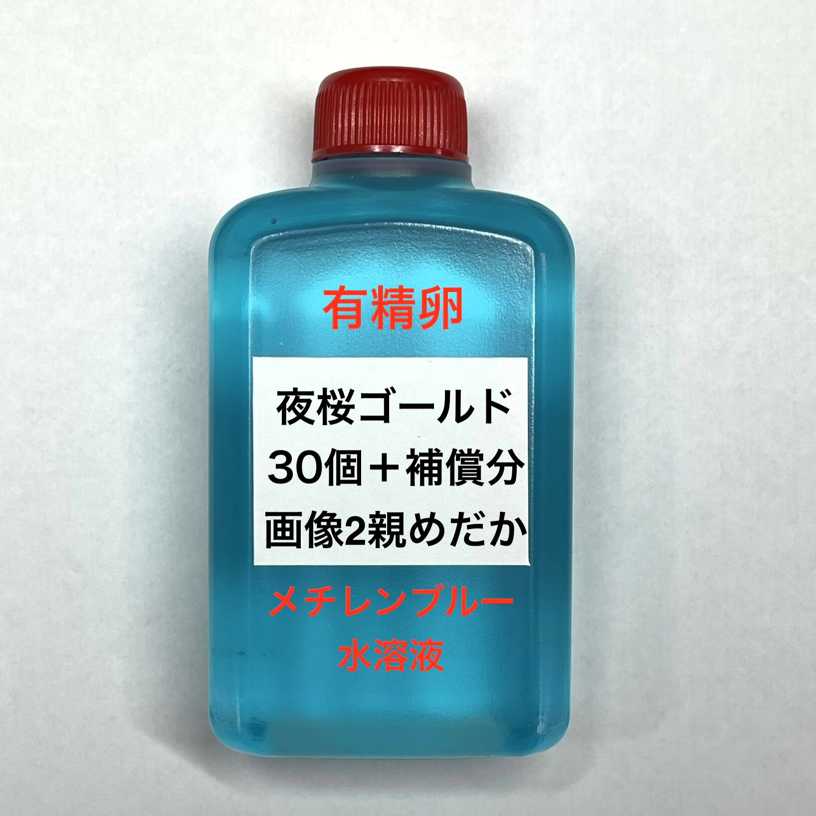 F●※メダカの卵・有精卵初出荷※●夜桜ゴールド★画像2のメダカの卵【夜桜ゴールド有精卵：30個＋補償分】：在庫がなくなり次第終了致します。※●自店舗で生産している画像2の夜桜ゴールドの有精卵を発送致します。卵ですので補償はありませんが多少多く入れて発送いたします。水カビを防ぐためにメチレンブルー水溶液に入っております。到着いたしましたら入れ物から出していただきこのままのメチレンブルー水溶液で孵化させてください。約10日前後で孵化致します。孵化する過程で白く濁ってきた卵は即座に取り除いてください。孵化しましたらカルキを抜いた飼育水で育ててください。【メチレンブルー水溶液にいれて発送になります】●※卵の補償はありませんのでご了承の上ご注文宜しくお願い致します。 当店ではオリジナル針仔用にて育てております、当店自慢のオリジナル飼育用餌になります。（別途針仔用、稚魚用餌、成魚用餌もご用意しております是非ご利用ください）●●※12:00までの注文で翌日お届け※●●【商品説明】夜桜ゴールドのメダカ有精卵は、観賞魚愛好家に最適な商品です。30個の卵に加え、補償分も含まれており、安心して育成を始められます。美しい夜桜ゴールドの色合いは、水槽を華やかに彩ります。メチレンブルー水溶液を使用することで、卵の保護と育成がより効果的に行えます。初めての方でも安心して取り組めるよう、必要な情報が揃っています。※電話でのご注文・ご予約・ご相談も受けております(080-6708-6627）