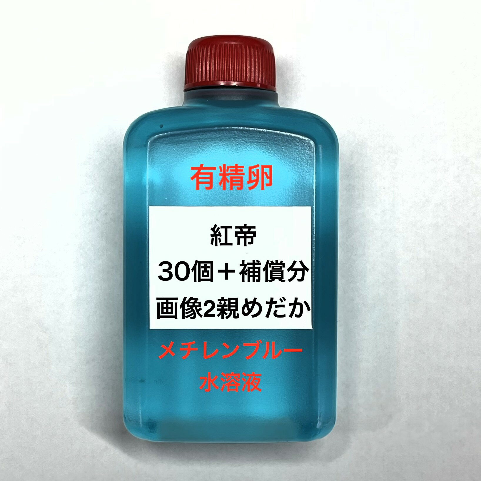 樂天商城 - I●※メダカの卵・有精卵初出荷※●紅帝★画像2のメダカの卵【紅帝有精卵：30個＋補償分】●※ご注文確定後3日前後での発送になります※●