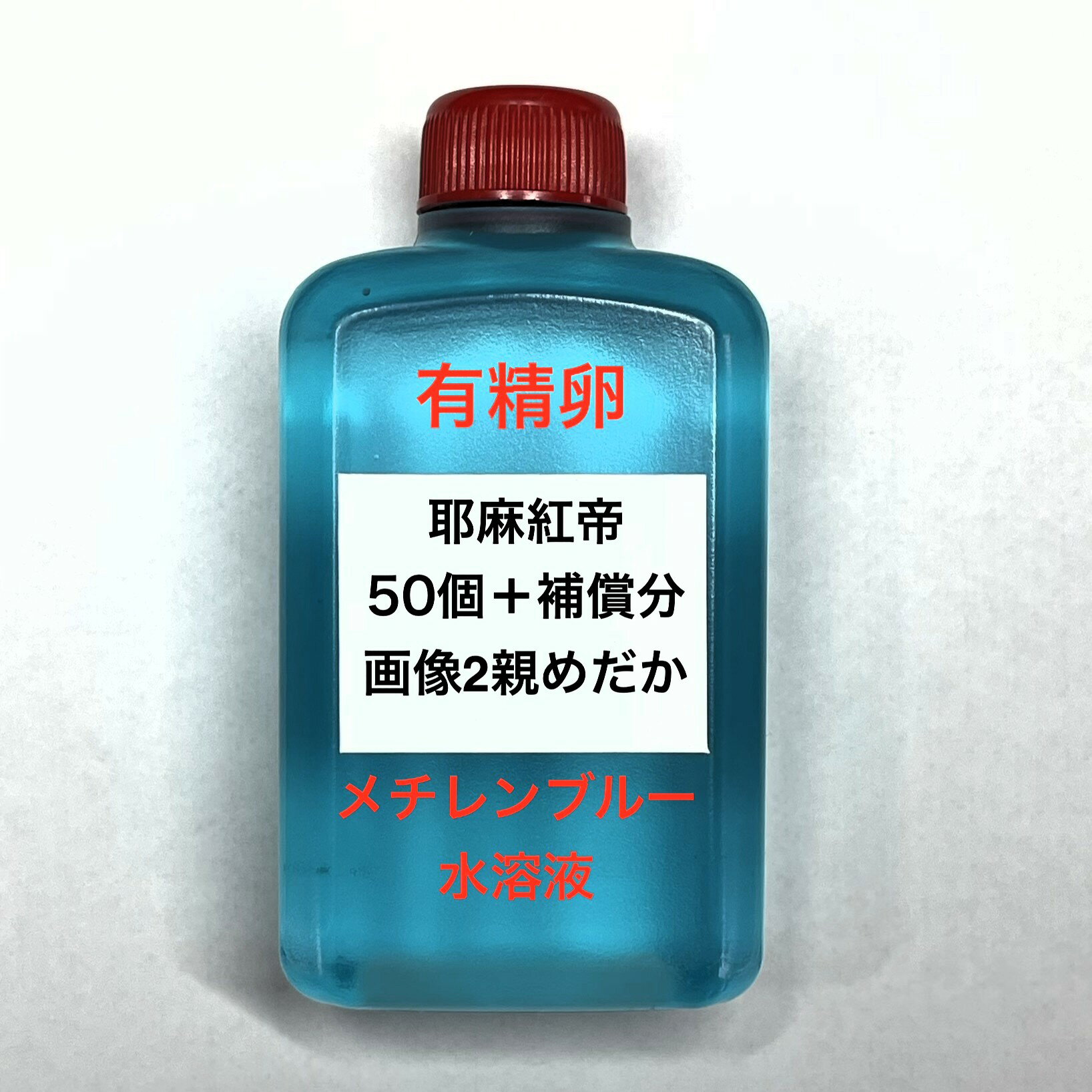 H●※メダカの卵・有精卵初出荷※●耶摩紅帝★画像2のメダカの卵【耶摩紅帝有精卵：50個＋補償分】●※ご注文確定後3日前後での発送になります※●
