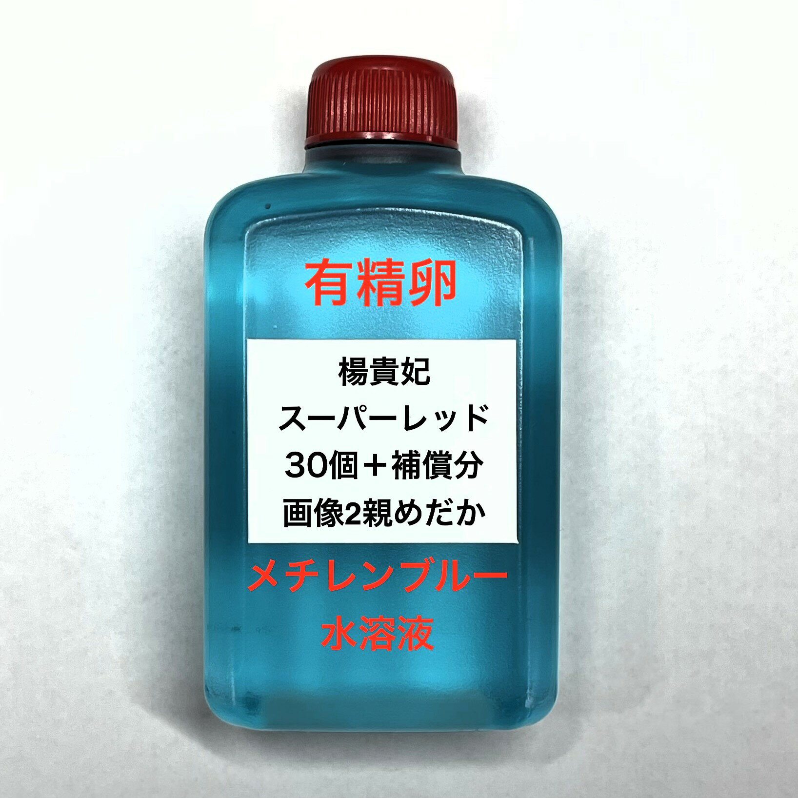 楽天市場】スーパーレッド メダカの通販