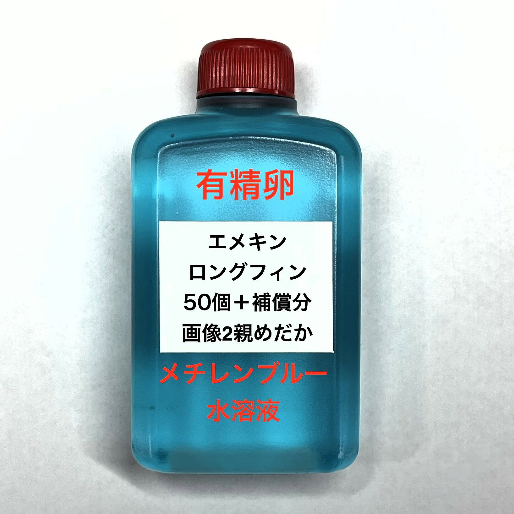 K●※メダカの卵・有精卵初出荷※●エメキンロングフィン★画像2のメダカの卵【エメキンロングフィン有精卵：50個＋補償分】●※ご注文確定後3日前後での発送になります※●