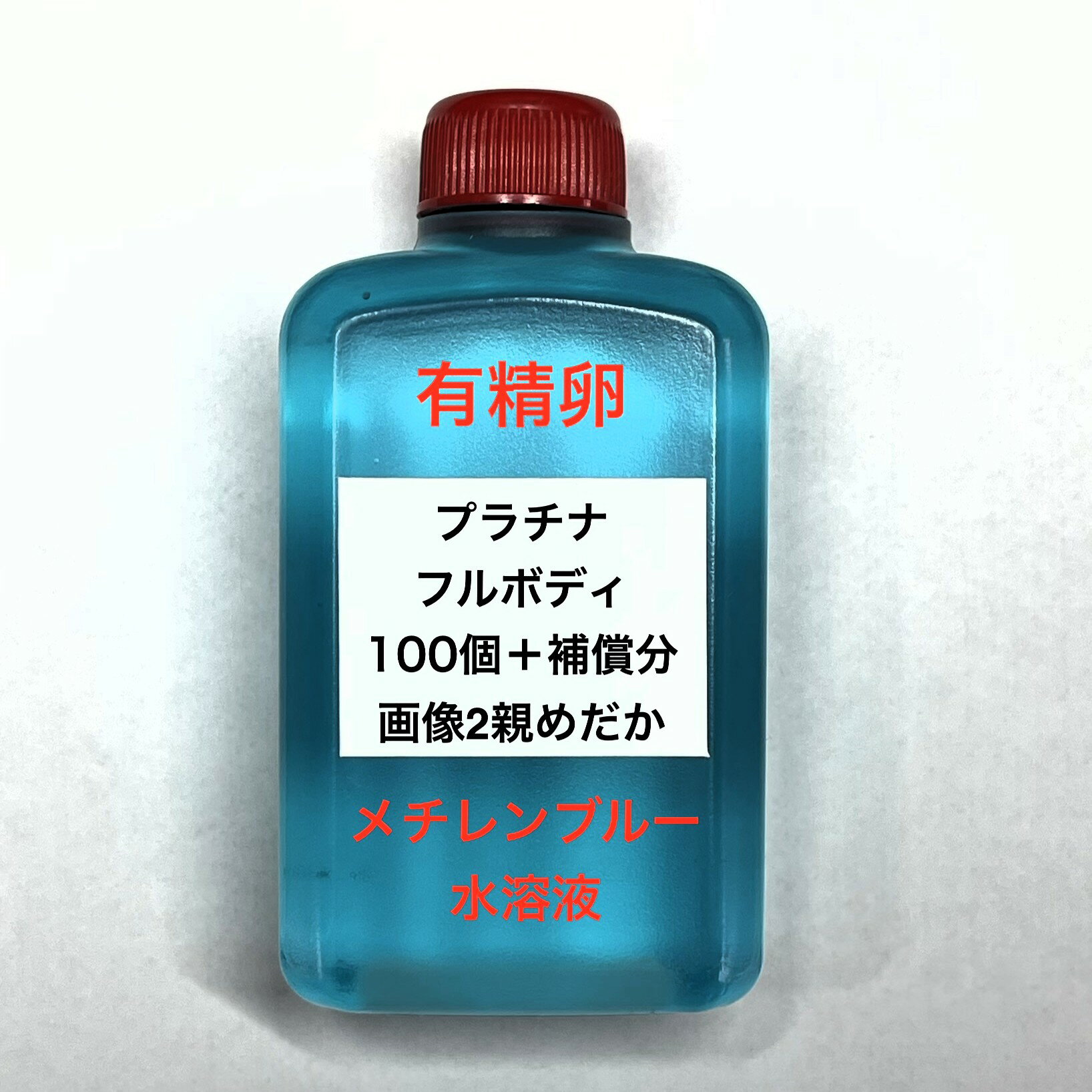 樂天商城 - M●※メダカの卵・有精卵初出荷※●プラチナフルボディ★画像2のメダカの卵【プラチナフルボディ有精卵：100個＋補償分】●※ご注文確定後3日前後での発送になります※●