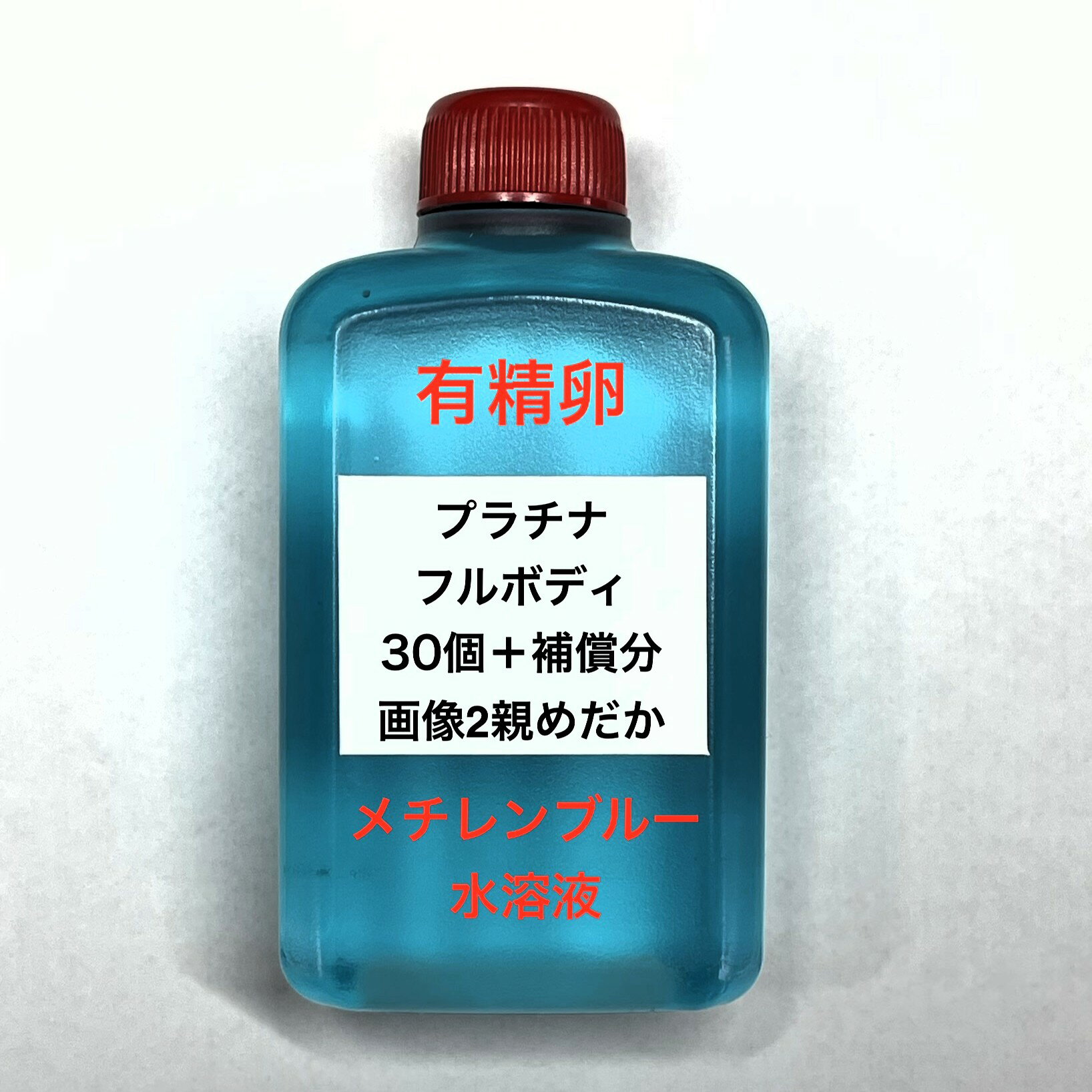 樂天商城 - M●※メダカの卵・有精卵初出荷※●プラチナフルボディ★画像2のメダカの卵【プラチナフルボディ有精卵：30個＋補償分】●※ご注文確定後3日前後での発送になります※●