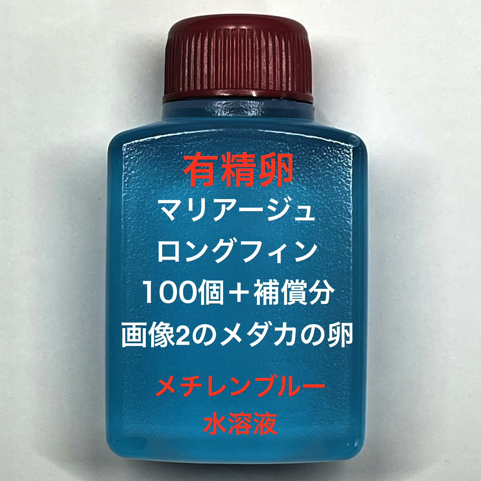 Q●※メダカの卵・有精卵初出荷※●マリアージュ★画像2のメダカの卵【マリアージュロングフィン有精卵：100個＋補償分】●※ご注文確定後3日前後での発送になります※●