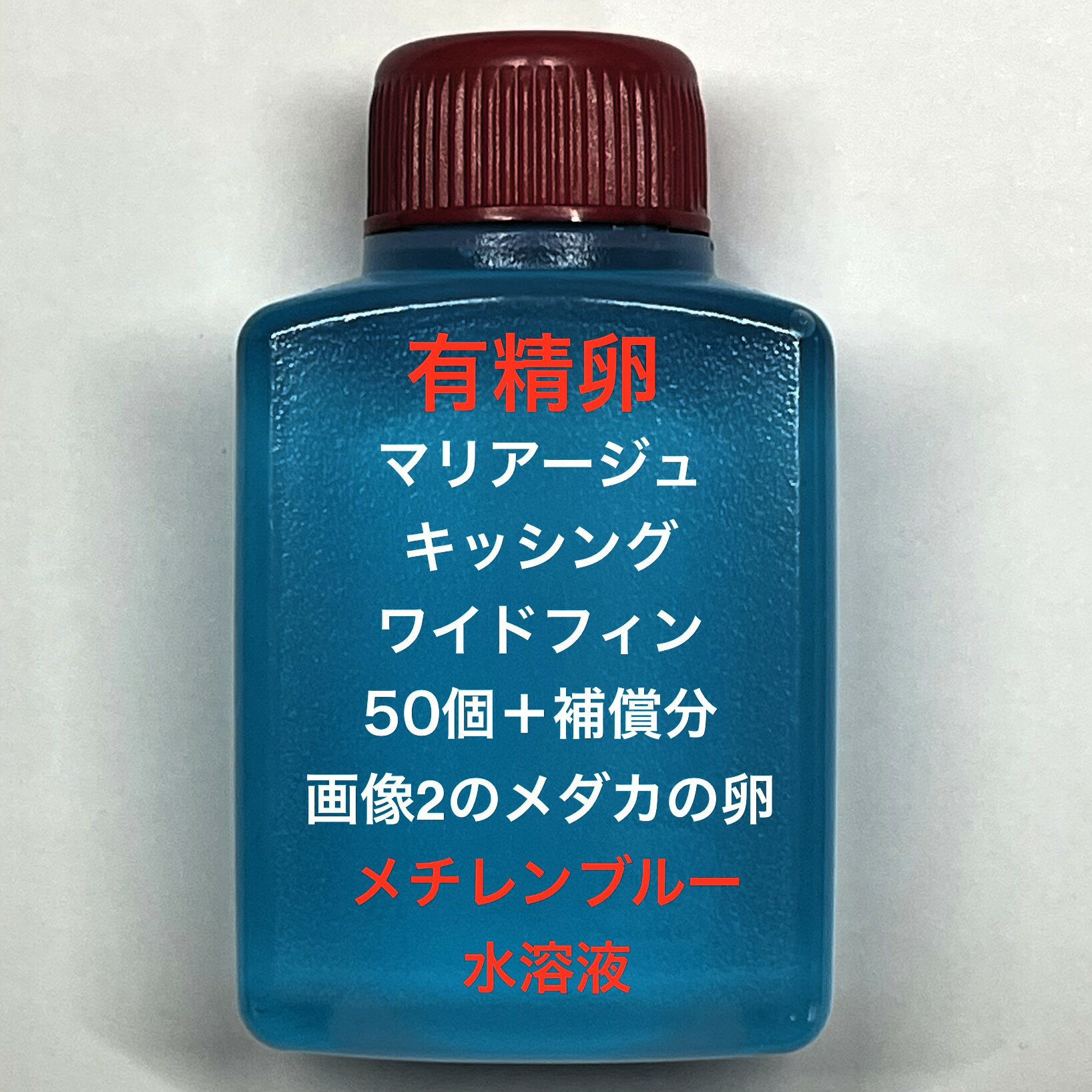 樂天商城 - R●※メダカの卵・有精卵初出荷※●マリアージュ★画像2のメダカの卵【マリアージュキッシングワイドフィン有精卵：50個＋補償分】●※ご注文確定後3日前後での発送になります※●