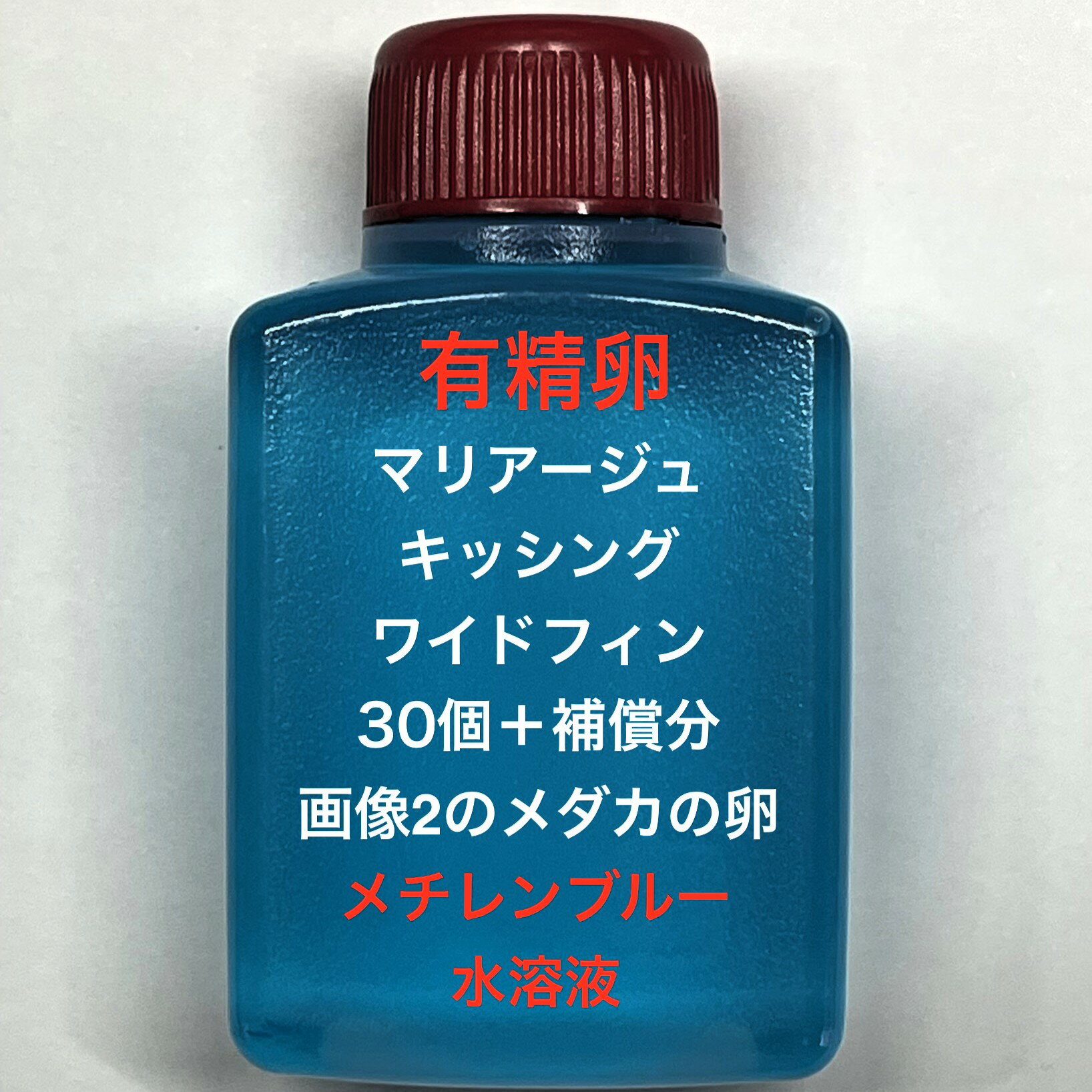 樂天商城 - R●※メダカの卵・有精卵初出荷※●マリアージュ★画像2のメダカの卵【マリアージュキッシングワイドフィン有精卵：30個＋補償分】●※ご注文確定後3日前後での発送になります※●