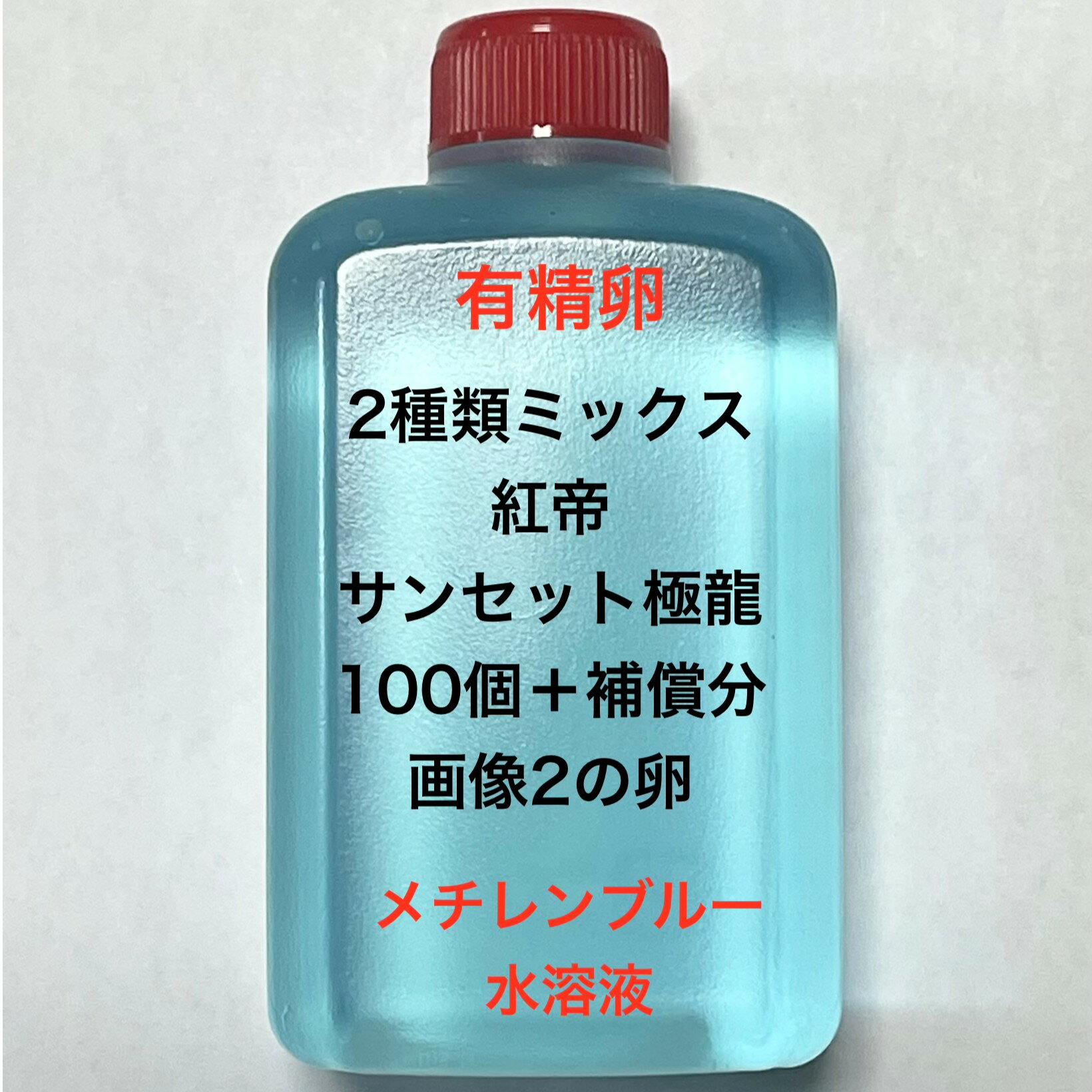 R●※メダカの卵・有精卵初出荷※●2種類ミックス★画像2のメダカの卵【紅帝：サンセット極龍・有精卵：100個＋補償分】●※ご注文確定後3日前後での発送になります※●