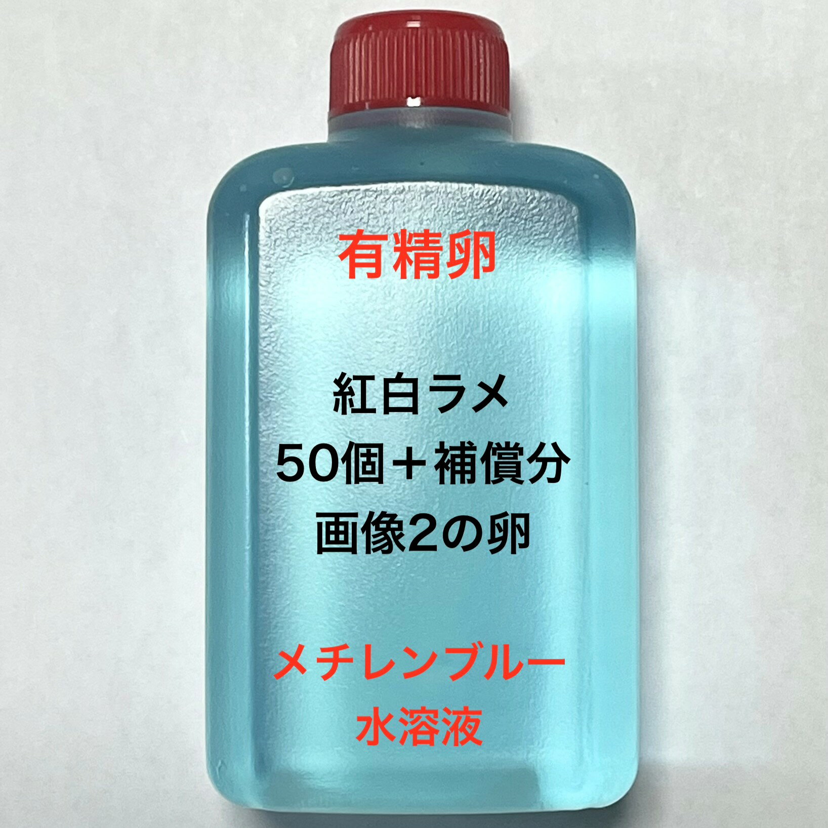 樂天商城 - X●※メダカの卵・有精卵初出荷※●紅白ラメ★画像2のメダカの卵【紅白ラメ有精卵：50個＋補償分】●※ご注文確定後5日前後での発送になります※●
