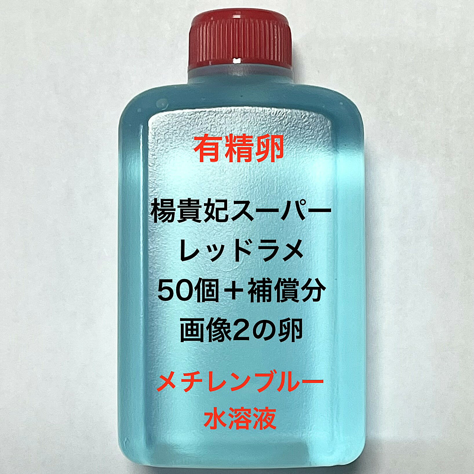 T●※メダカの卵・有精卵初出荷※●楊貴妃スーパーレッドラメ★画像2のメダカの卵【楊貴妃スーパーレッドラメ有精卵：50個＋補償分】●※ご注文確定後3日前後での発送になります※●