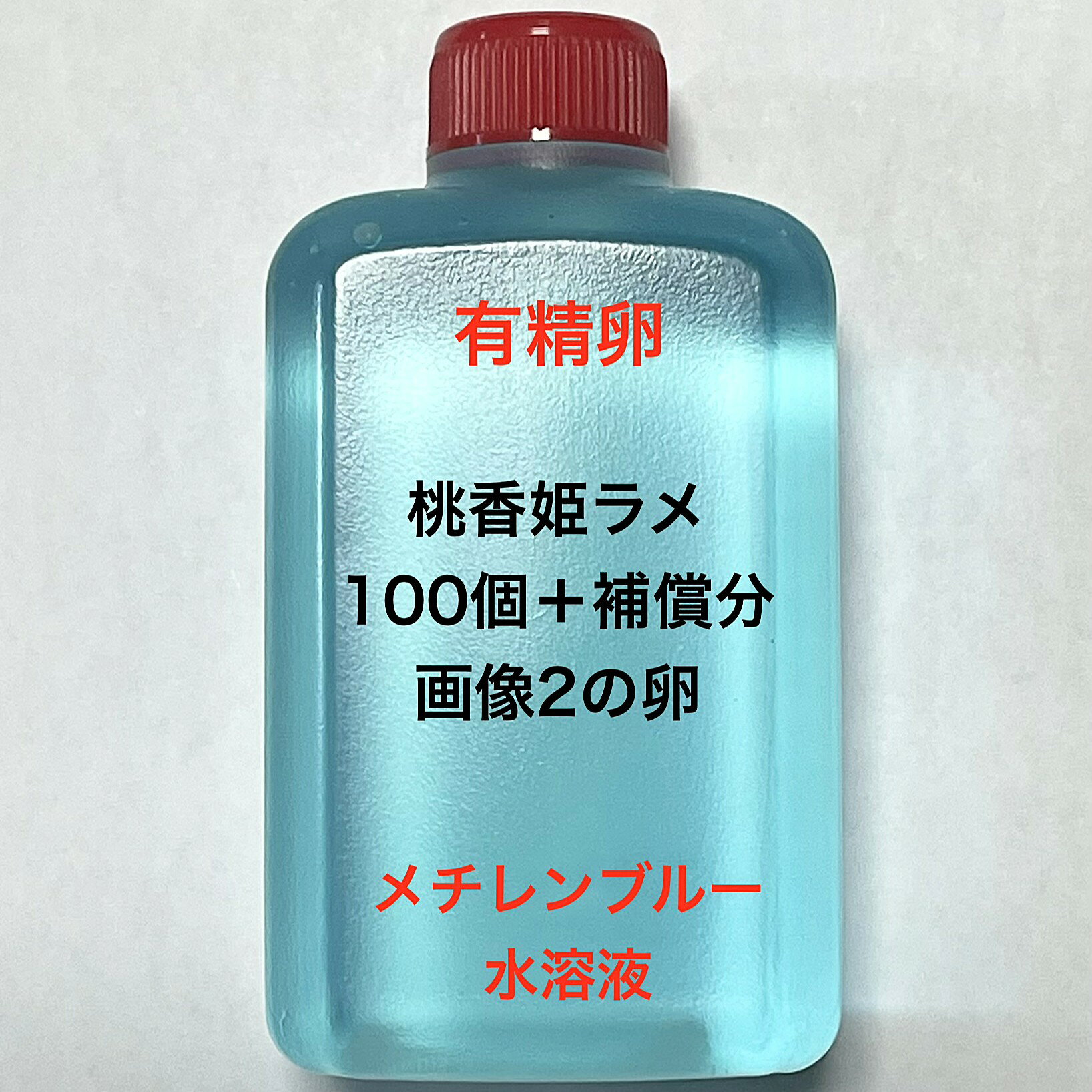 D●※メダカの卵・有精卵初出荷※●桃香姫ラメ★画像2のメダカの卵【桃香姫ラメ有精卵：100個＋補償分】●※ご注文確定後3日前後での発送になります※●