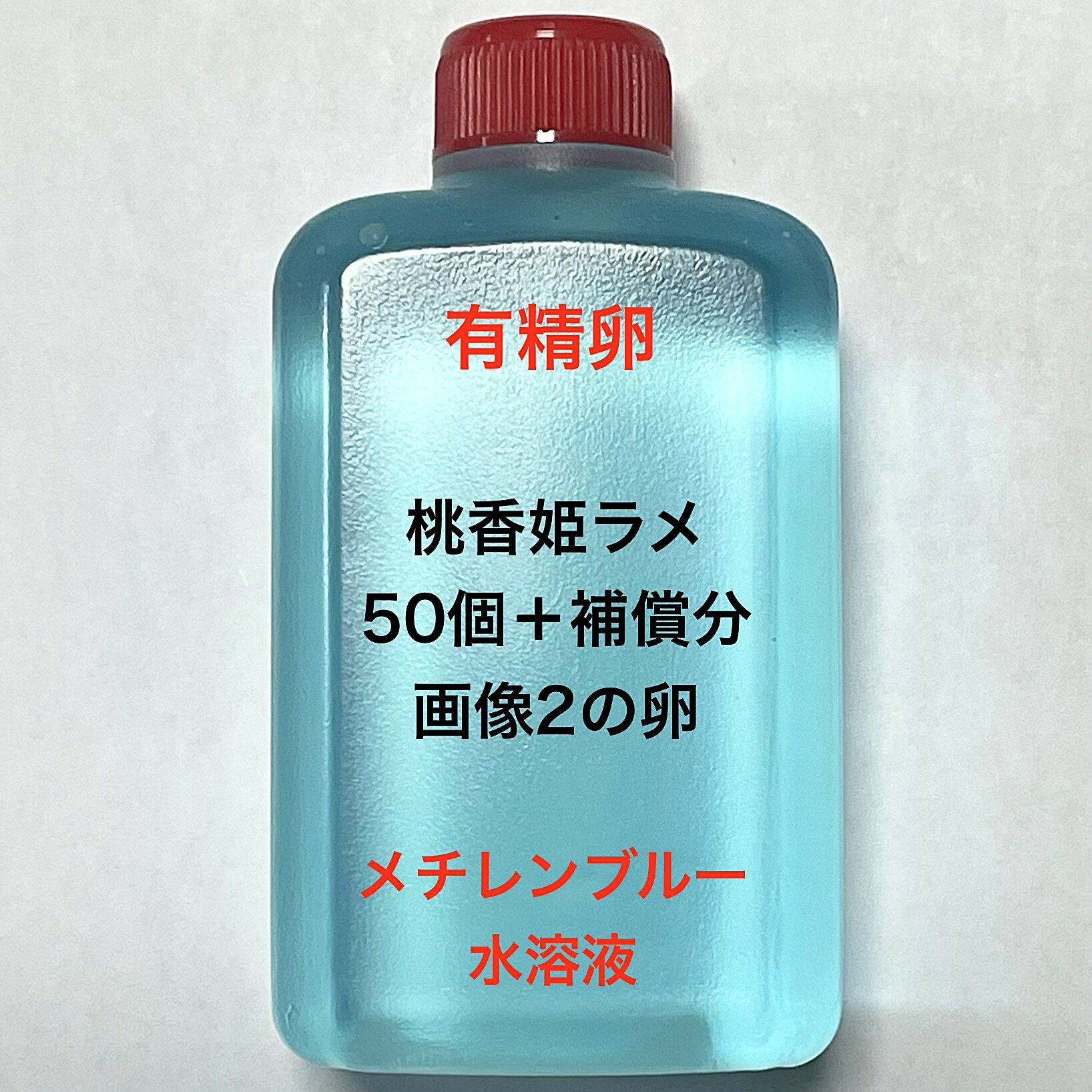 D●※メダカの卵・有精卵初出荷※●桃香姫ラメ★画像2のメダカの卵【桃香姫ラメ有精卵：50個＋補償分】●※ご注文確定後3日前後での発送になります※●