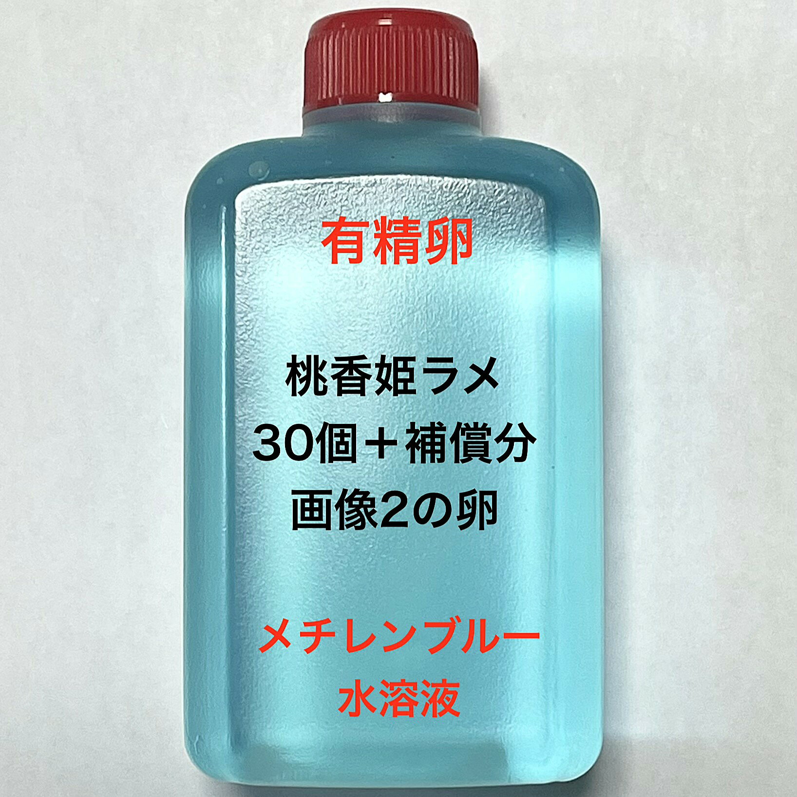 D●※メダカの卵・有精卵初出荷※●桃香姫ラメ★画像2のメダカの卵【桃香姫ラメ有精卵：30個＋補償分】●※ご注文確定後3日前後での発送になり..