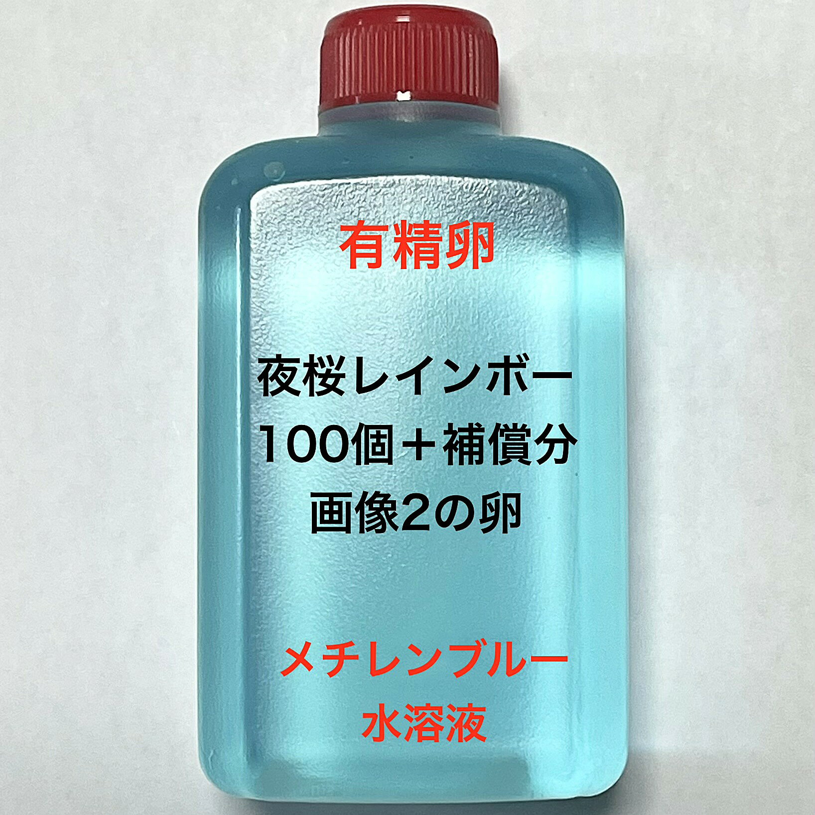 樂天商城 - S●※メダカの卵・有精卵初出荷※●夜桜レインボー★画像2のメダカの卵【夜桜レインボー有精卵：100個＋補償分】●※ご注文確定後3日前後での発送になります※●