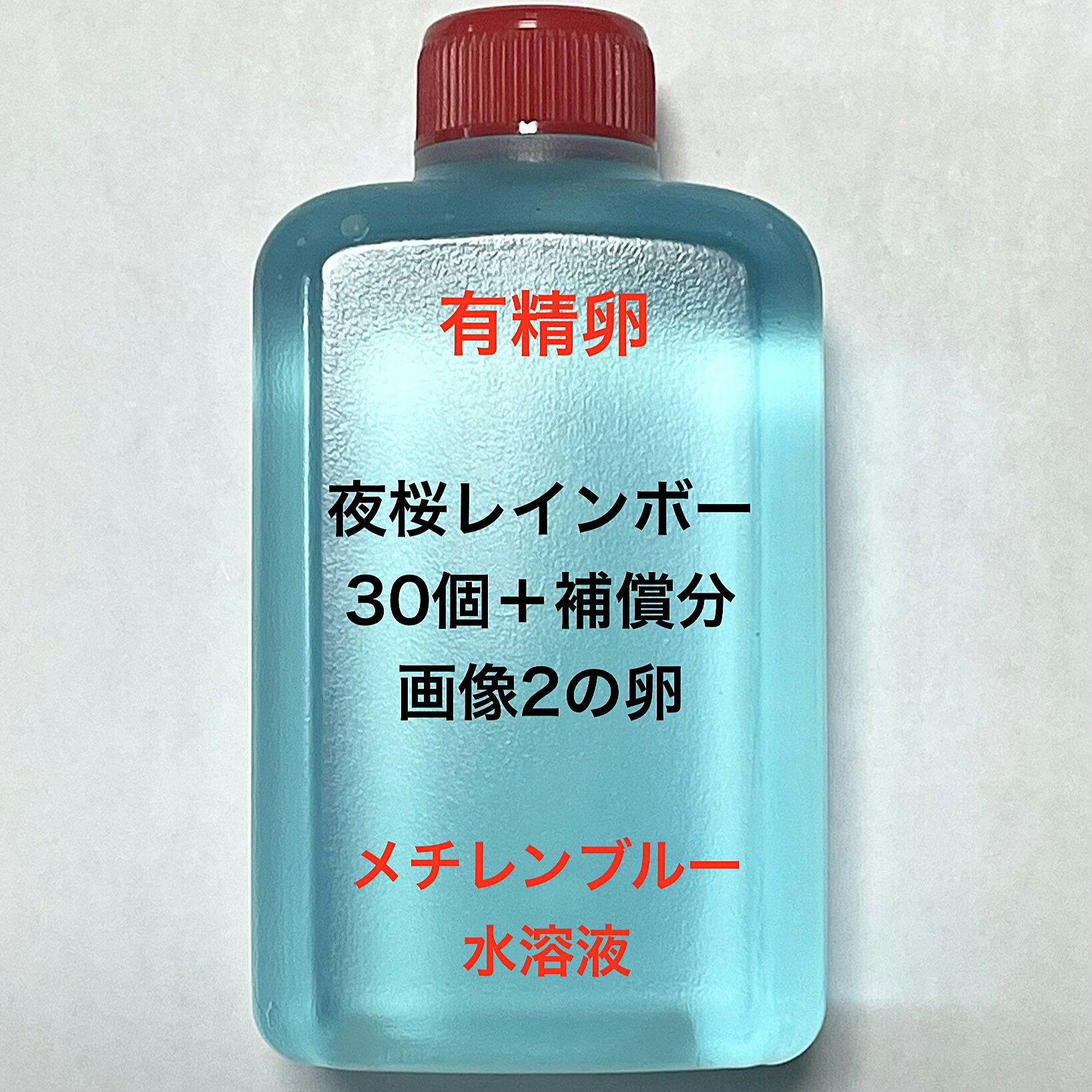 樂天商城 - S●※メダカの卵・有精卵初出荷※●夜桜レインボー★画像2のメダカの卵【夜桜レインボー有精卵：30個＋補償分】●※ご注文確定後3日前後での発送になります※●