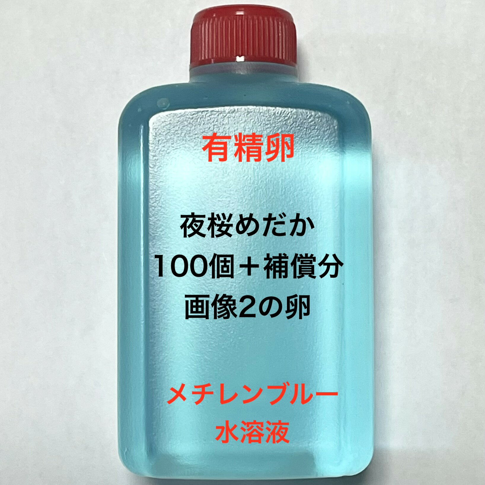 樂天商城 - Q※メダカの卵・有精卵初出荷※●夜桜めだか★画像2のメダカの卵【夜桜めだか有精卵：100個＋補償分】●※ご注文確定後3日前後での発送になります※●