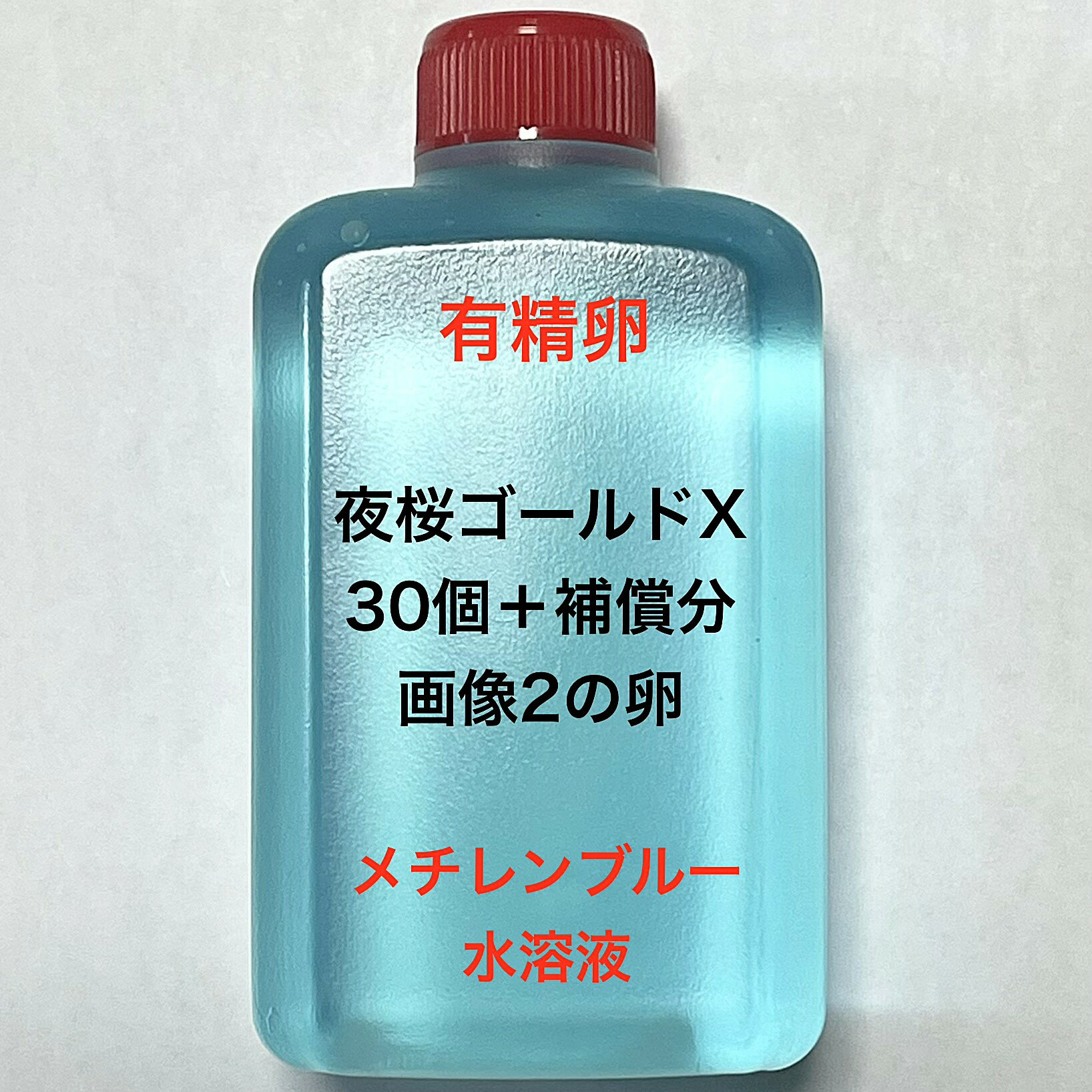 樂天商城 - W※メダカの卵・有精卵初出荷※●夜桜ゴールドX★画像2のメダカの卵【夜桜ゴールドX有精卵：30個＋補償分】●※ご注文確定後3日前後での発送になります※●