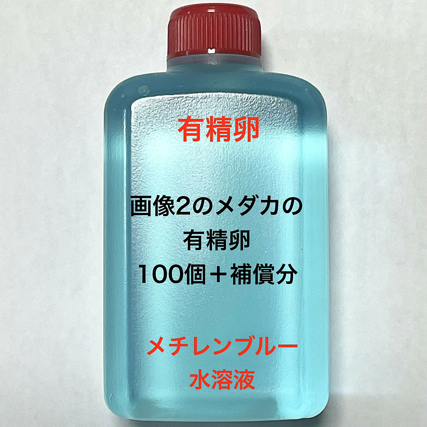 樂天商城 - K●※メダカの卵・有精卵初出荷※●B：超極上ミックス★画像2のメダカの卵【有精卵：100個＋補償分】●※ご注文確定後3日前後での発送になります※●