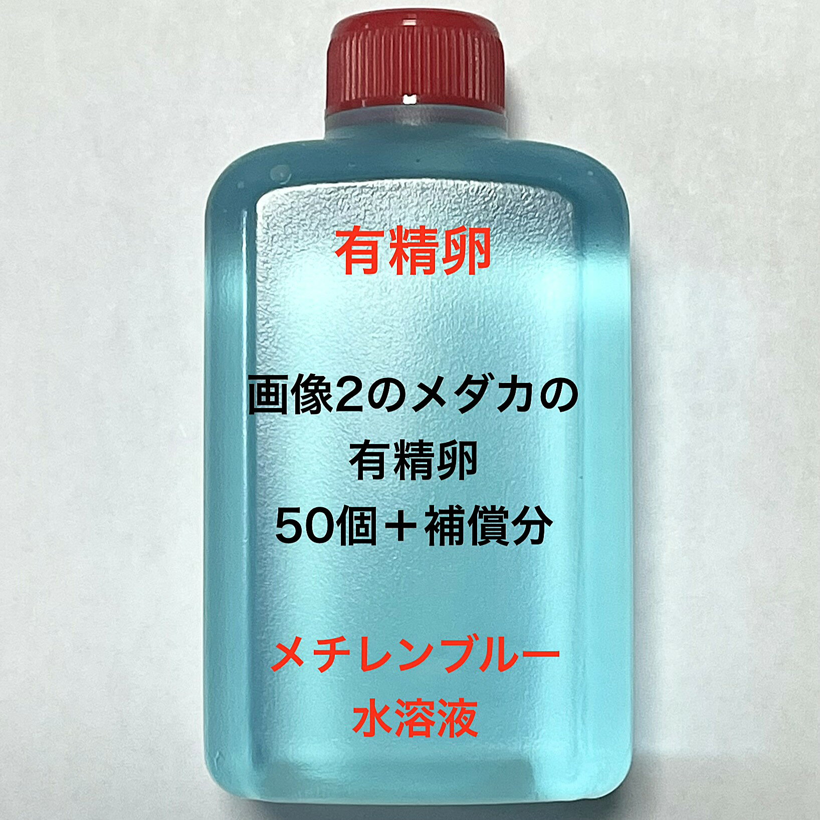 樂天商城 - L●※メダカの卵・有精卵初出荷※●A：超極上ミックス★画像2のメダカの卵【有精卵：50個＋補償分】●※ご注文確定後3日前後での発送になります※●