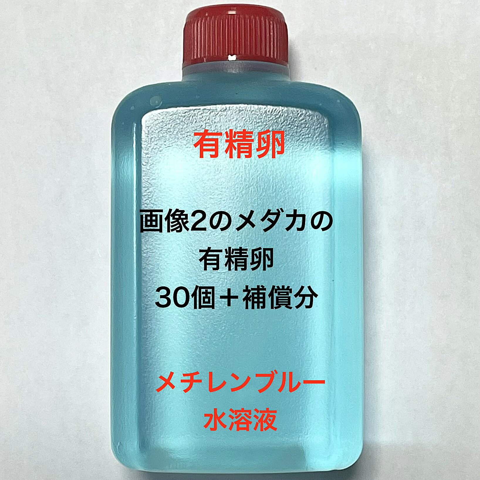 樂天商城 - L●※メダカの卵・有精卵初出荷※●A：超極上ミックス★画像2のメダカの卵【有精卵：30個＋補償分】●※ご注文確定後3日前後での発送になります※●