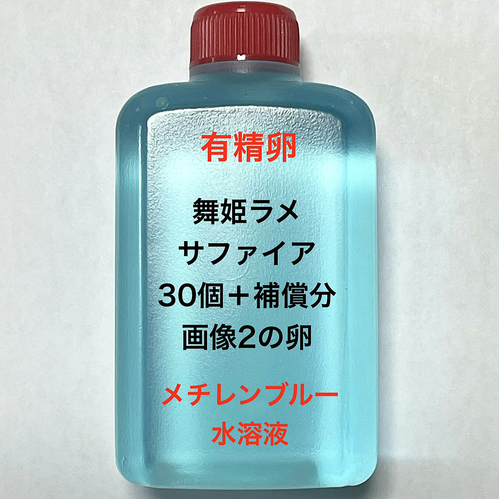 乐天商城 - K※メダカの卵・有精卵初出荷※●サファイア系★ピンク系★画像2のメダカの卵【舞姫ラメサファイア有精卵：30個＋補償分】●※ご注文確定後3日前後での発送になります※●