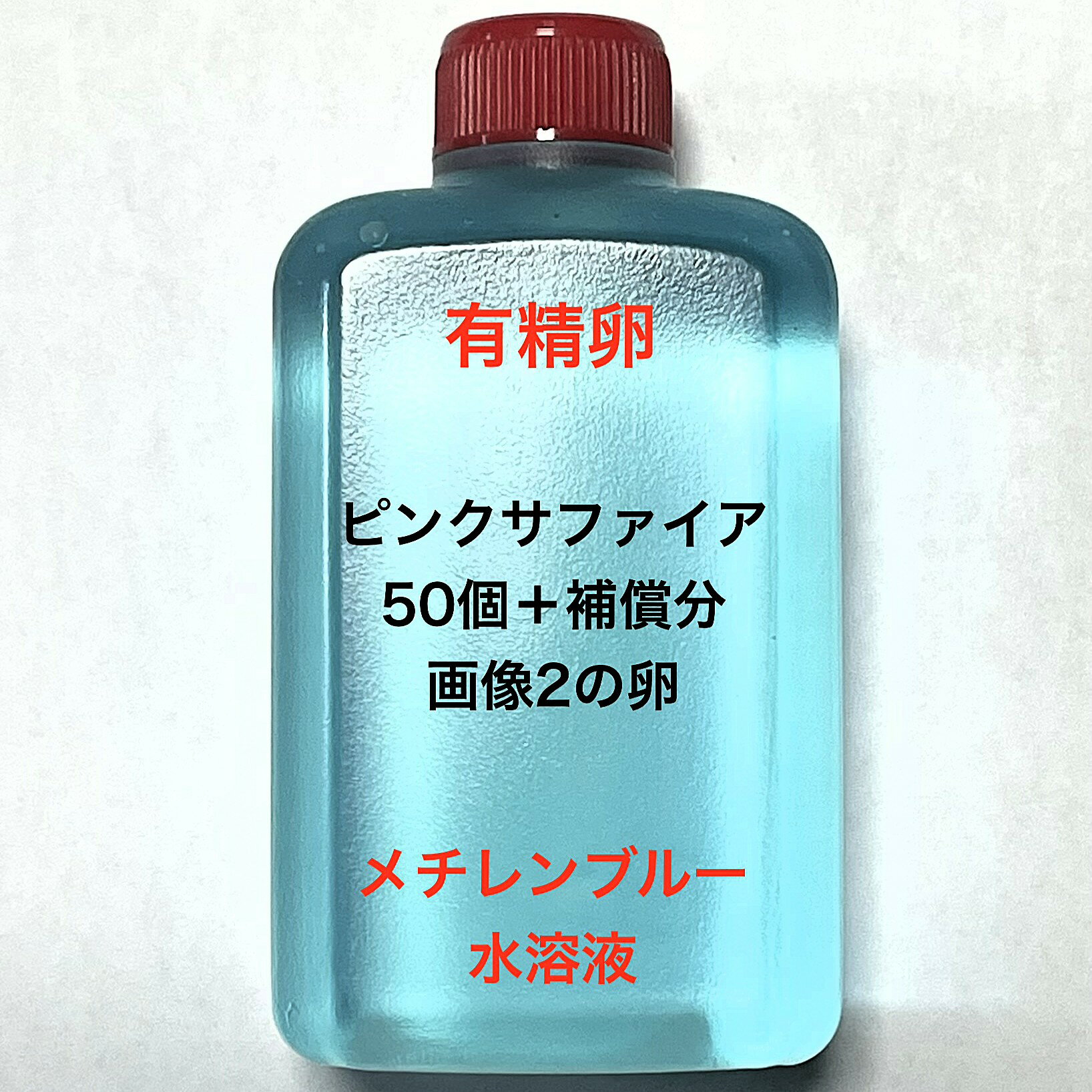 L※メダカの卵 有精卵初出荷※●サファイア系★ピンク系★画像2のメダカの卵【ピンクサファイア有精卵：50個＋補償分】●※ご注文確定後3日前後での発送になります※●