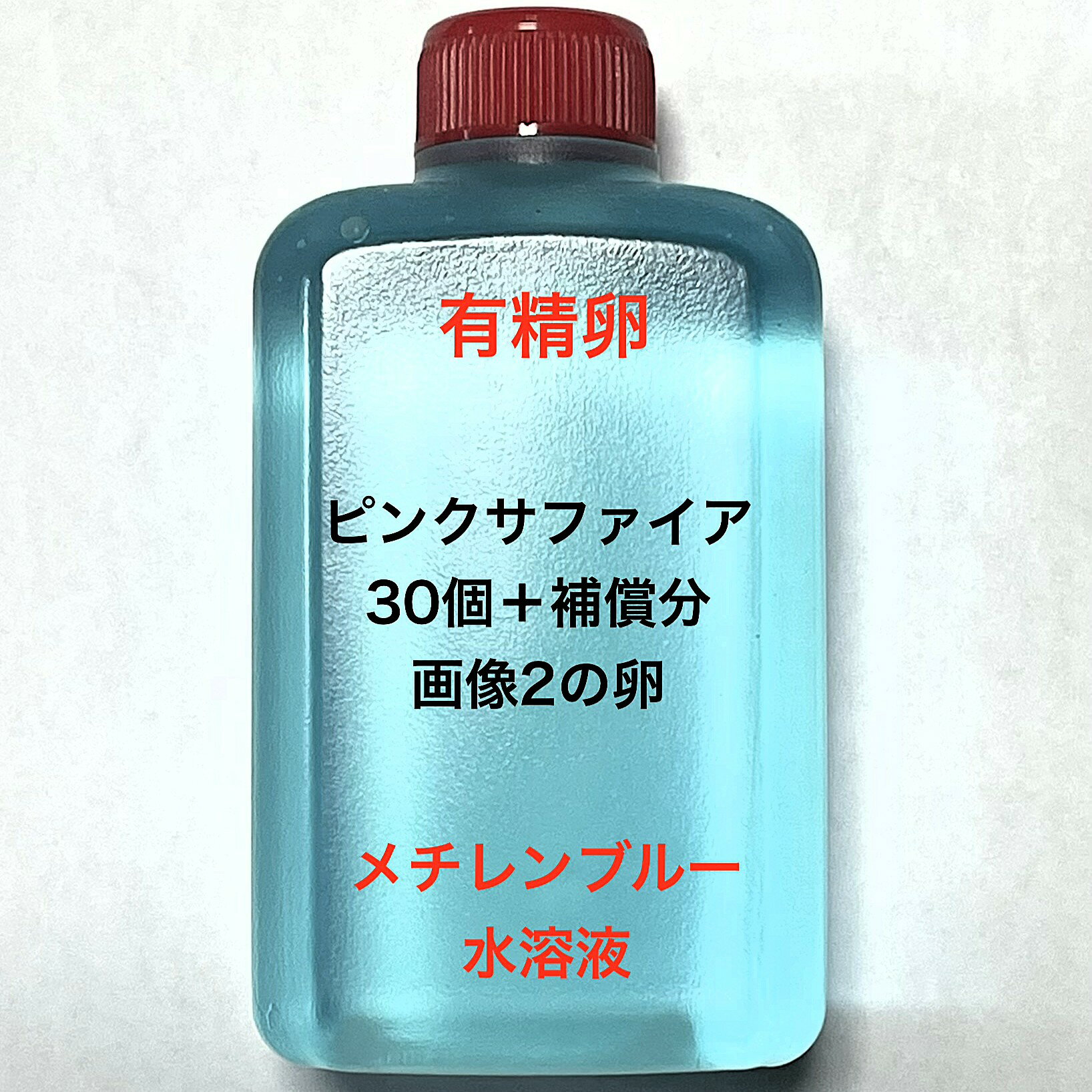 L※メダカの卵 有精卵初出荷※●サファイア系★ピンク系★画像2のメダカの卵【ピンクサファイア有精卵：30個＋補償分】●※ご注文確定後3日前後での発送になります※●