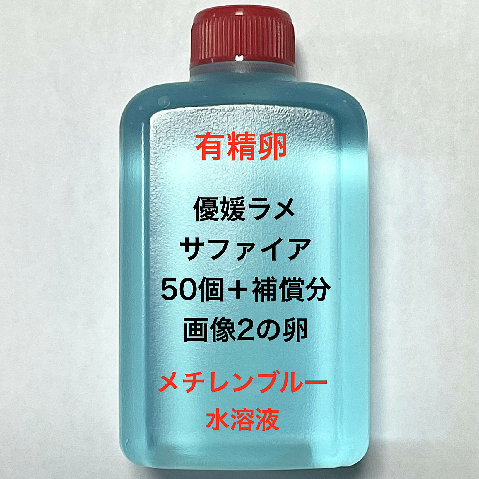 樂天商城 - G※メダカの卵・有精卵初出荷※●サファイア系★ピンク系★画像2のメダカの卵【優媛ラメサファイア有精卵：50個＋補償分】●※ご注文確定後3日前後での発送になります※●