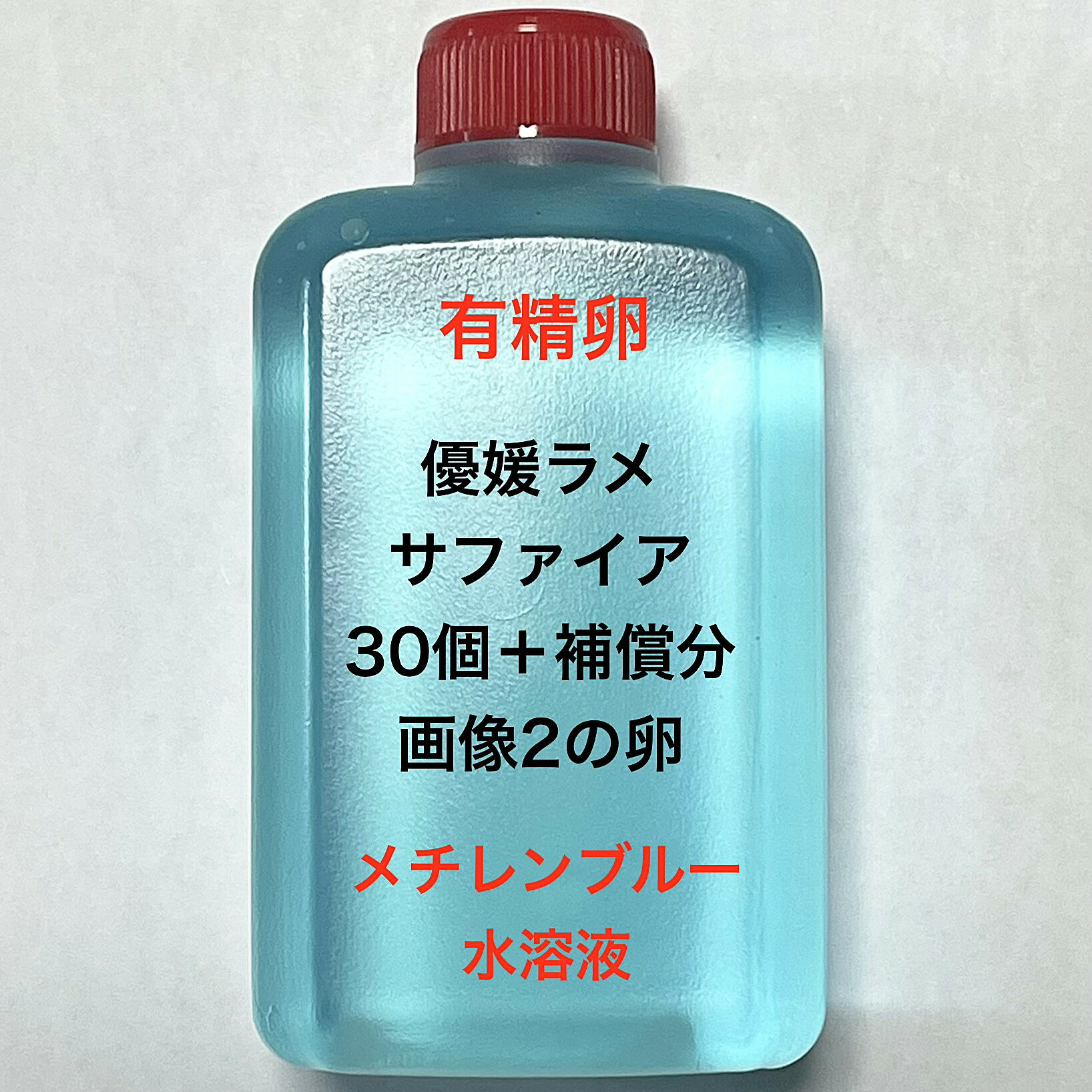 G※メダカの卵 有精卵初出荷※●サファイア系★ピンク系★画像2のメダカの卵【優媛ラメサファイア有精卵：30個＋補償分】●※ご注文確定後3日前後での発送になります※●