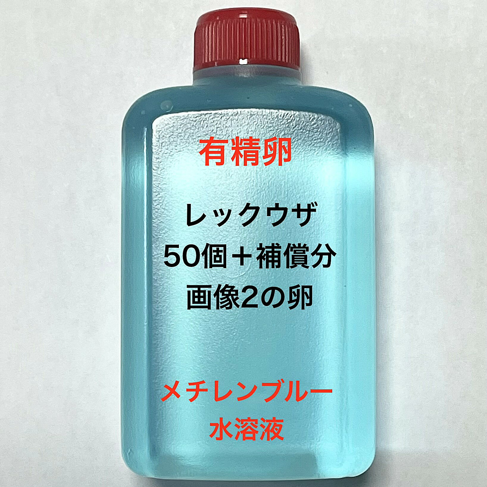 D※メダカの卵・有精卵初出荷※●シルバー系★スーパーラメ系★画像2のメダカの卵【レックウザ有精卵：50個＋補償分】：在庫がなくなり次第終了致します。※●自店舗で生産している画像2のレックウザの有精卵を発送致します。卵ですので補償はありませんが多少多く入れて発送いたします。水カビを防ぐためにメチレンブルー水溶液に入っております。到着いたしましたら入れ物から出していただきこのままのメチレンブルー水溶液で孵化させてください。約10日前後で孵化致します。孵化する過程で白く濁ってきた卵は即座に取り除いてください。孵化しましたらカルキを抜いた飼育水で育ててください。【メチレンブルー水溶液にいれて発送になります】●※卵の補償はありませんのでご了承の上ご注文宜しくお願い致します。 当店ではオリジナル針仔用にて育てております、当店自慢のオリジナル飼育用餌になります。（別途針仔用、稚魚用餌、成魚用餌もご用意しております是非ご利用ください）●●※12:00までの注文で翌日お届け※●●【商品説明】スーパーラメ系のメダカの卵、有精卵「レックウザ」は、50個に補償分を加えたセットです。この卵は、特別な輝きを持つメダカを育てるための理想的な選択肢です。メチレンブルー水溶液に入れており、卵の保護と健康的な孵化をサポートします。初心者から経験者まで、メダカの飼育を楽しむ方に最適な商品です。※電話でのご注文・ご予約・ご相談も受けております(080-6708-6627）