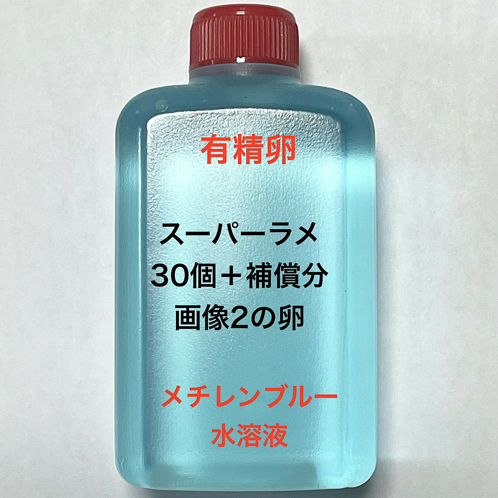 樂天商城 - S※メダカの卵・有精卵初出荷※●シルバー系★スーパーラメ系★画像2のメダカの卵【スーパーラメ有精卵：30個＋補償分】●※ご注文確定後3日前後での発送になります※●